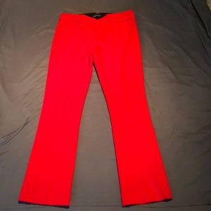 Express Columnist Pant